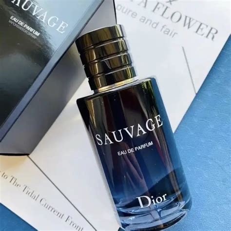 dior sauvage recenzie|what does dior sauvage smell like.